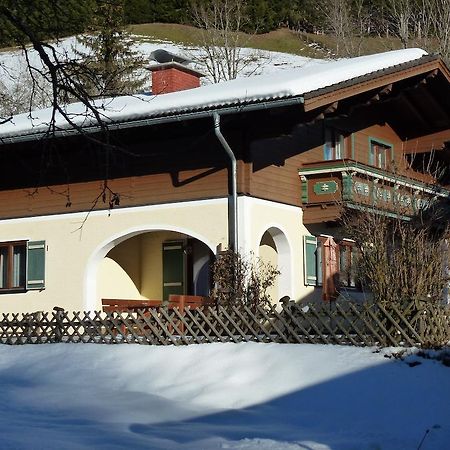 Ferienhaus Teigi Wagrain Eksteriør billede